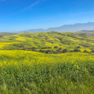 Chino Hills State Park Loop