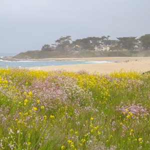 Carmel Meadows Trail