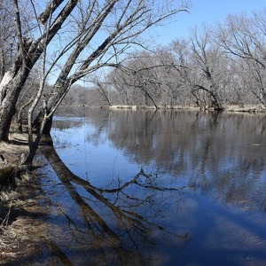 Martin's Meadow Preserve Loop