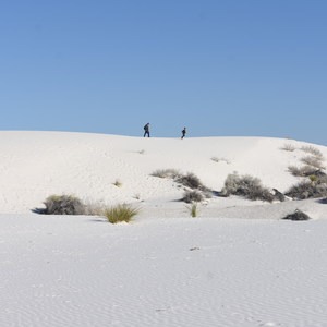 Dune Life Nature Trail
