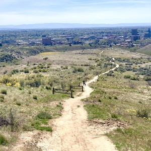 Military Reserve: Central Ridge