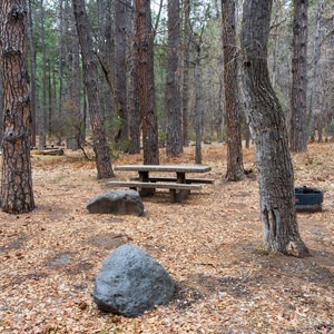 Cave Springs Campground