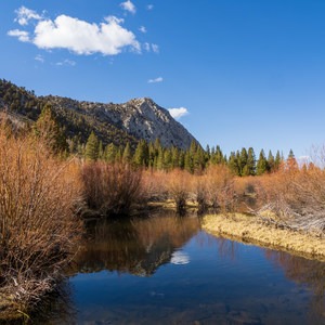 East Fork Campground