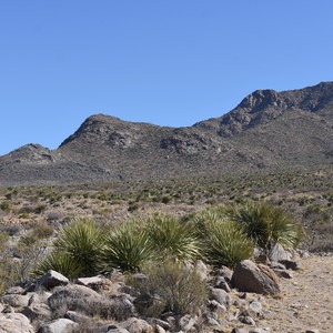 West Baylor Canyon Trail
