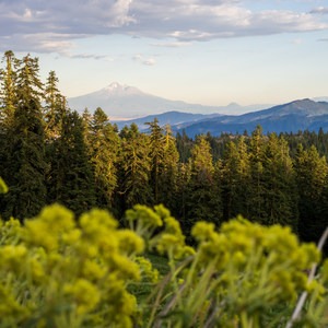 Mount Ashland Campground