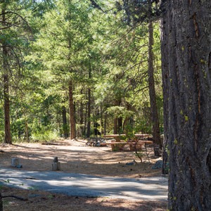 Trinity River Campground