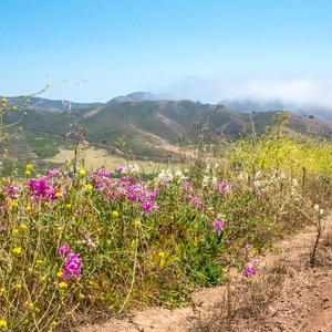 Rodeo Valley Trail to Miwok Trail Loop
