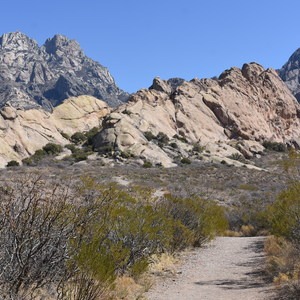 La Cueva Rock Shelter