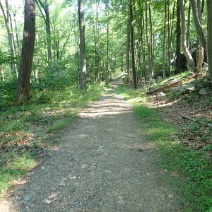 1777 Trail