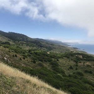 Bear Valley + Coast + Woodward Valley + Meadow Trails Loop