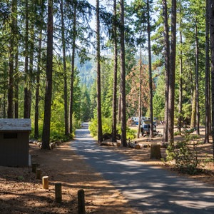 Link Creek Campground