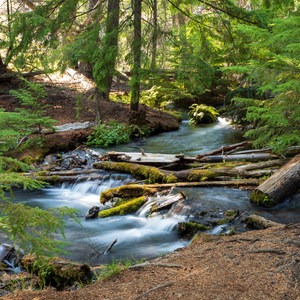 Head of Jack Creek Hike