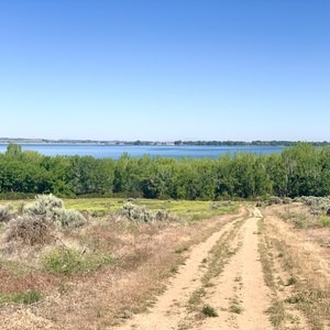 Observation Hill Trail