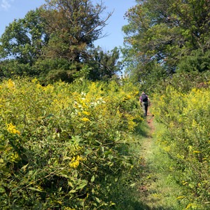 Conservation Trail