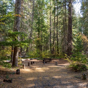 Abbott Creek Campground