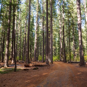 Union Creek Campground