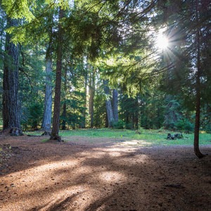 Hamaker Dispersed Camping