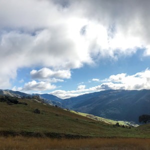 Ohlone Wilderness Loop