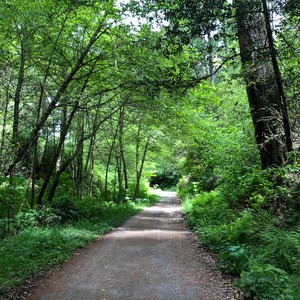 Palomarin to Bear Valley