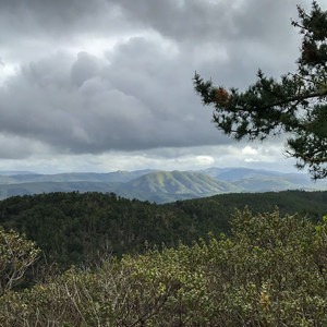 Point Reyes Hill Loop via Inverness Ridge, Muddy Hollow, and Bayview Trail