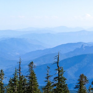 Old Ski Bowl via Snow Bunny Flat Trail