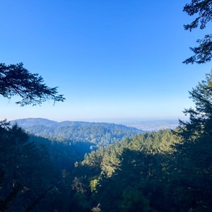 Mount Wittenberg via Horse Trail