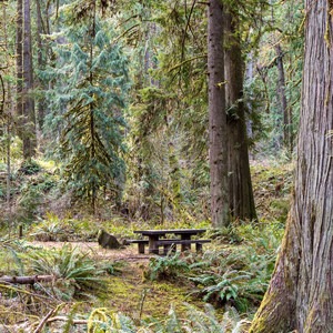 Black Canyon Campground