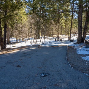 Yellow Pine Loop Campground