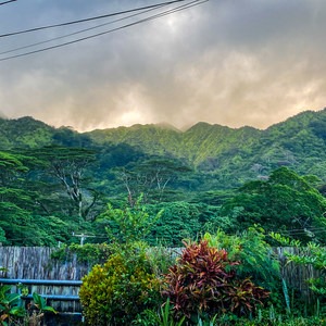 Pu'u 'Ohi'a (Mount Tantalus) from Lyon Arboretum