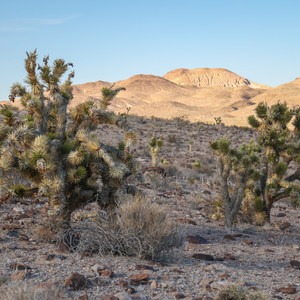 Waterway-Davenport Loop