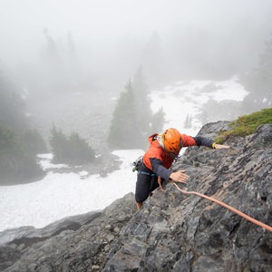 The Tooth via the Tooth Fairy (5.7)
