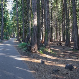 Indian Springs Campground