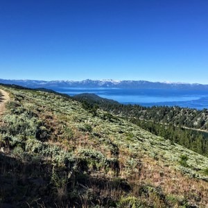 Tahoe Rim Trail: Mt. Rose Summit/Tahoe Meadows to Spooner Summit North