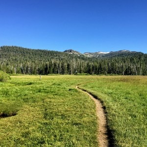 Tahoe Rim Trail: Big Meadow To Echo Lake