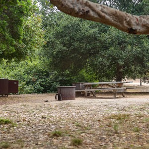 Manresa Uplands State Beach Campground