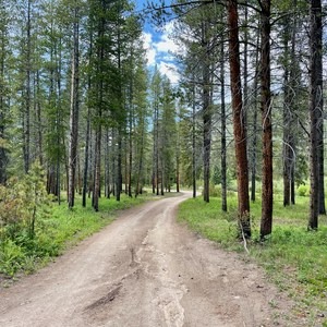 Camp Hale East Fork Group Campground