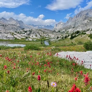 Continental Divide Trail: Knapsack Col Alternate