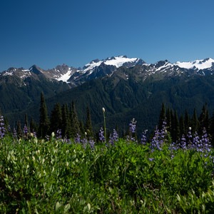 High Divide and Seven Lakes Basin Loop