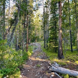 Continental Divide Trail: Montana-Idaho Section 10