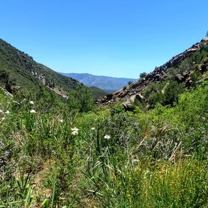 Piedra Blanca to Haddock Camp