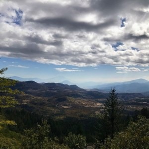 Mount Ashland Meadows