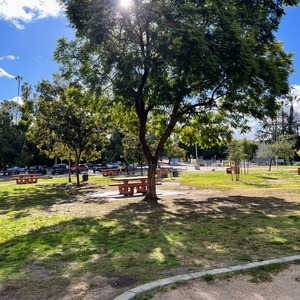 Bellevue Park