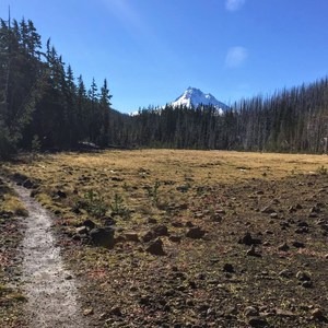Mount Jefferson Wilderness