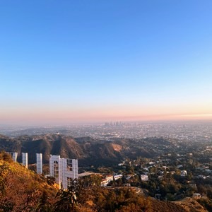 Hollywood Reservoir to Wisdom Tree Loop