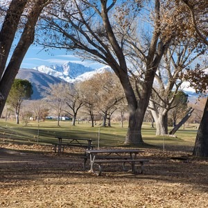 Brown's Town Campground