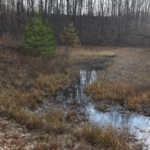 Hiking Club Trail - Mille Lacs Kathio State Park