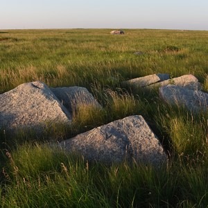 Touch The Sky Prairie