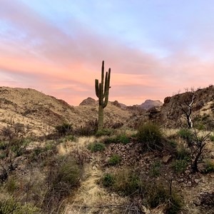 Red Tanks Trail #107