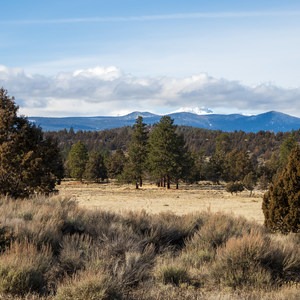 Sage Flat + Juniper Loop Trail