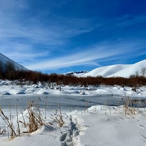Draper Wood River Loop